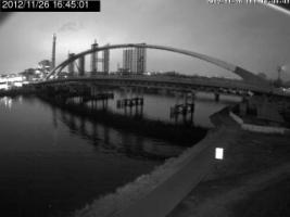 164501_130231383.jpg