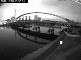 163501_309845918.jpg