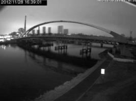 163901_507935377.jpg