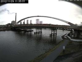 113501_190243243.jpg