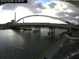 124501_302229979.jpg