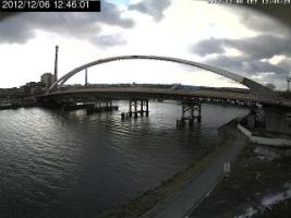 124601_233398358.jpg