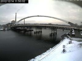 115002_602464023.jpg