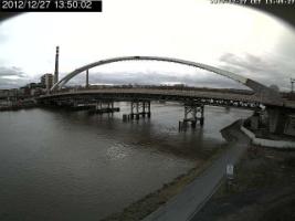 135002_384427357.jpg