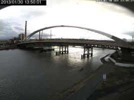 135001_447199642.jpg
