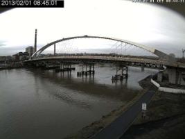 084501_514464819.jpg