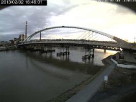 164601_527565307.jpg