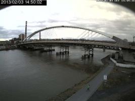 145002_440539287.jpg
