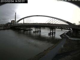 145001_344806723.jpg