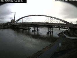 145901_785689737.jpg