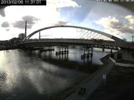 113101_193695096.jpg