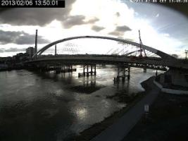 135001_546101181.jpg