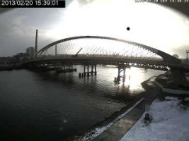 153901_509814209.jpg