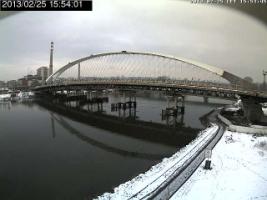 155401_427739264.jpg