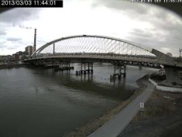 114401_371911204.jpg