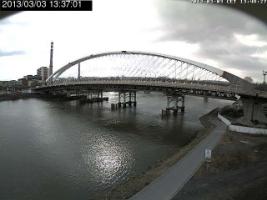 133701_284078394.jpg