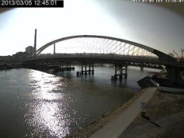 124501_848724172.jpg