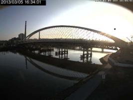 163401_317661766.jpg