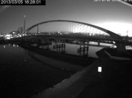 182801_545046849.jpg