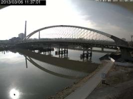 113701_517672766.jpg