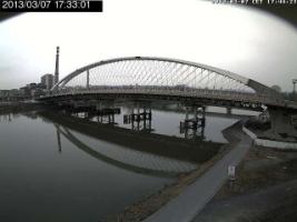 173301_444261931.jpg