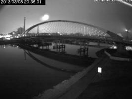 203601_564118006.jpg