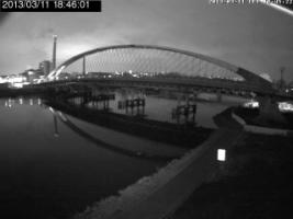 184601_524415556.jpg