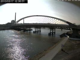 123601_591729945.jpg