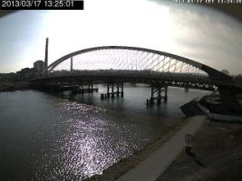 132501_902494525.jpg