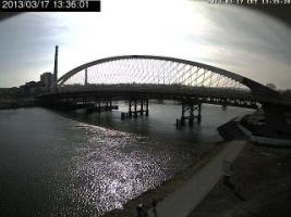 133601_443275264.jpg