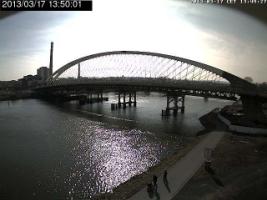 135001_657770369.jpg
