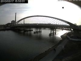 155301_781775592.jpg