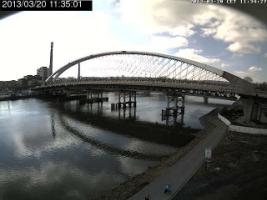 113501_457122452.jpg
