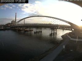 172502_491964687.jpg