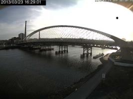 162901_447472415.jpg