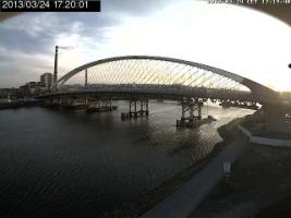 172001_597145743.jpg