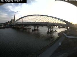 172801_446837354.jpg
