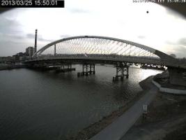 155001_464239588.jpg