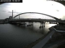 155601_544786493.jpg