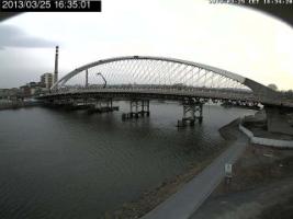 163501_377760231.jpg
