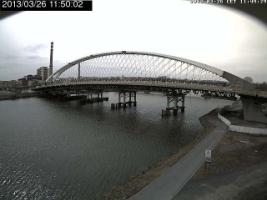 115002_389870726.jpg