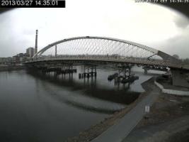 143501_162975646.jpg