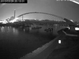 201301_385580053.jpg
