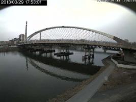 175301_373436613.jpg