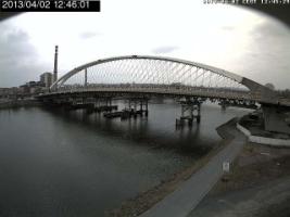 124601_518558410.jpg
