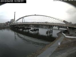 105901_405750566.jpg