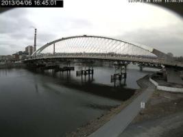 164501_813743262.jpg