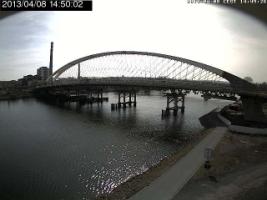 145002_310393975.jpg