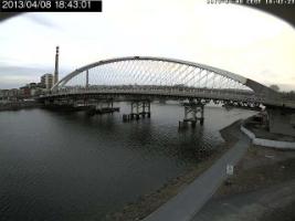 184301_198566294.jpg