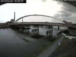 185601_464125782.jpg